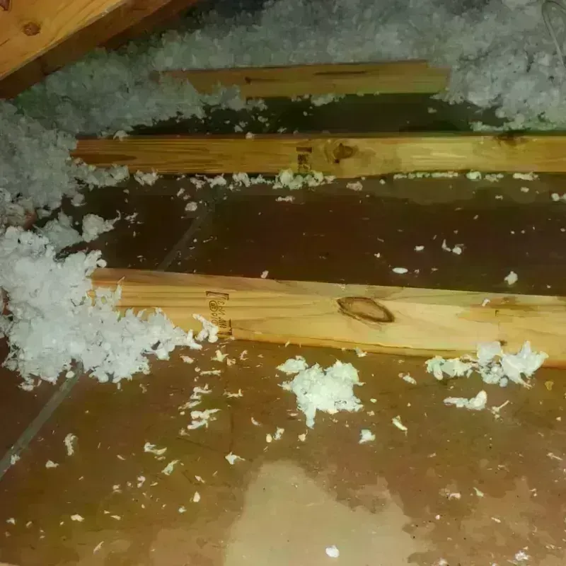 Attic Water Damage in Baldwin Park, CA