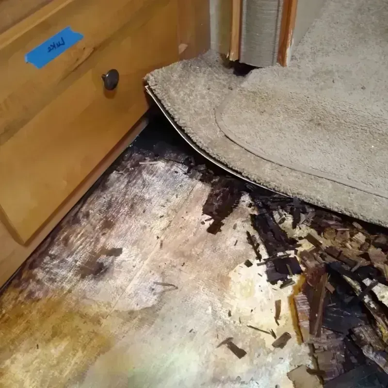 Best Wood Floor Water Damage Service in Baldwin Park, CA